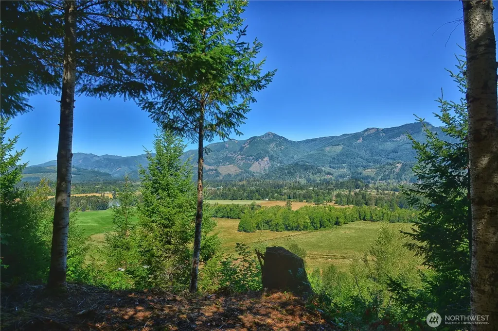 3 Skinner Road Randle WA 98377