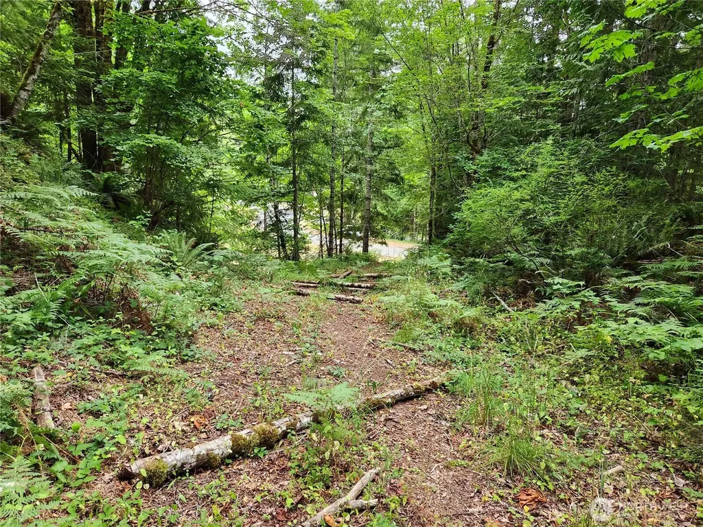 0 Arabian Drive Brinnon WA 98320