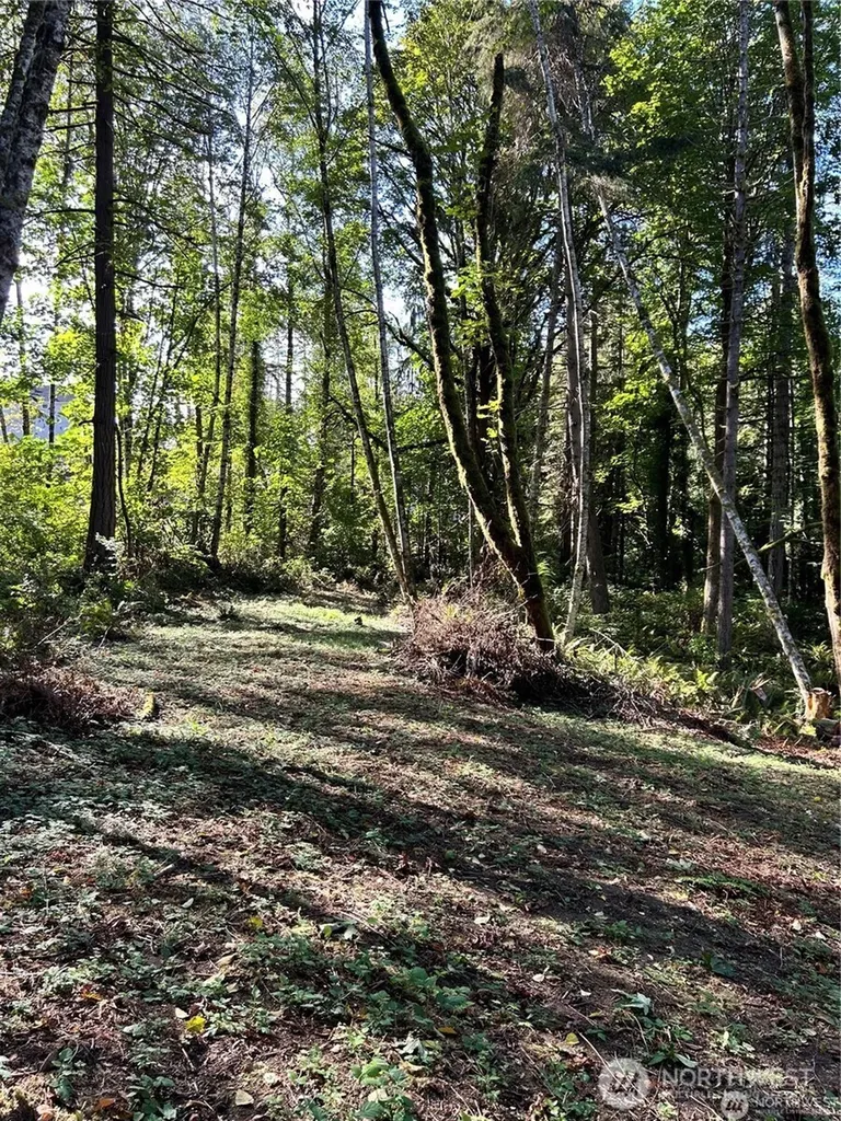 0 NE Dawn Road Bremerton WA 98311