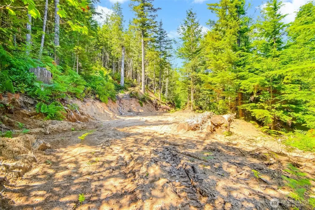 32750 343rd Ave SE Ravensdale WA 98051