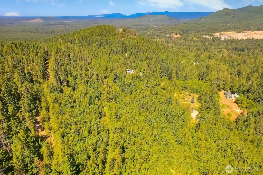 32750 343rd Ave SE Ravensdale WA 98051