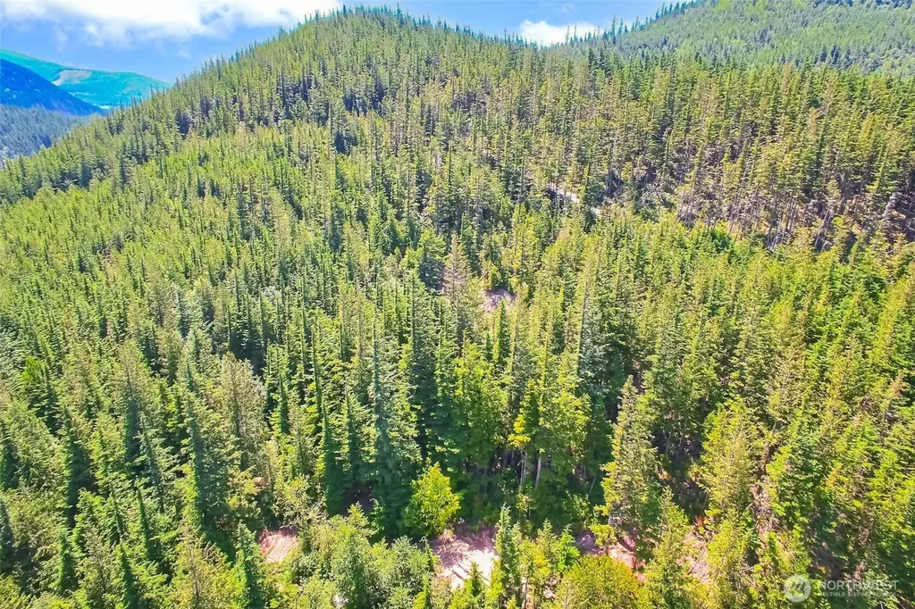 32750 343rd Ave SE Ravensdale WA 98051