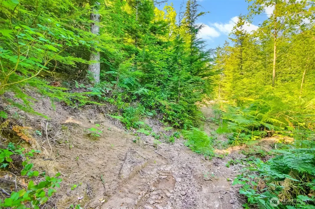 32750 343rd Ave SE Ravensdale WA 98051