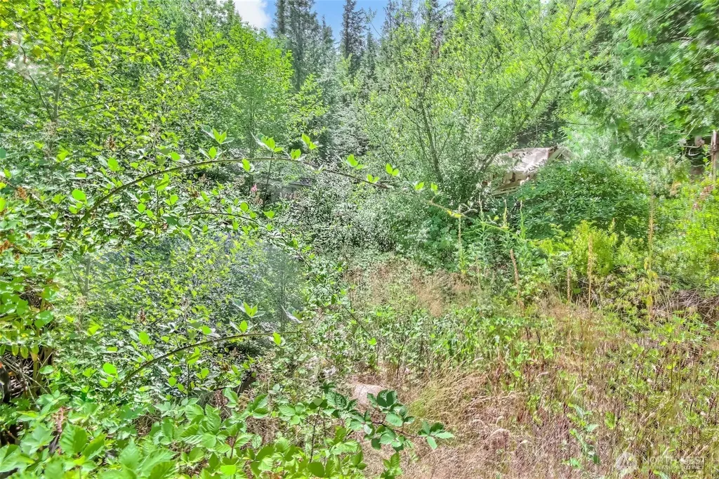 32750 343rd Ave SE Ravensdale WA 98051