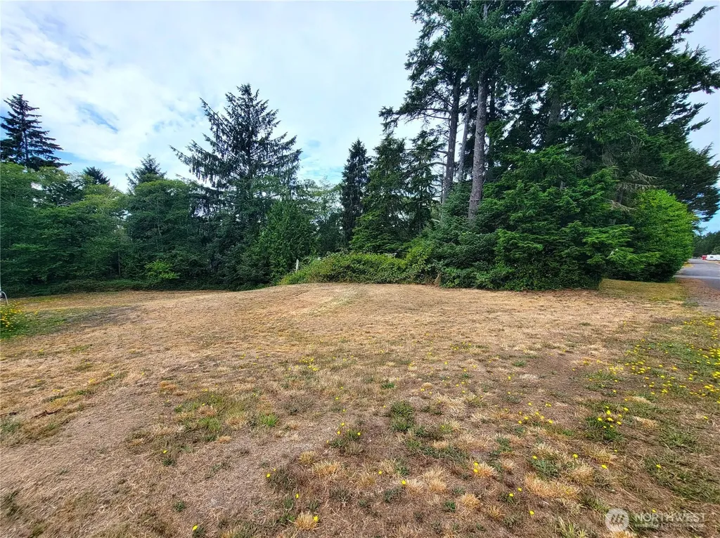 24313 Gile Place Ocean Park WA 98640