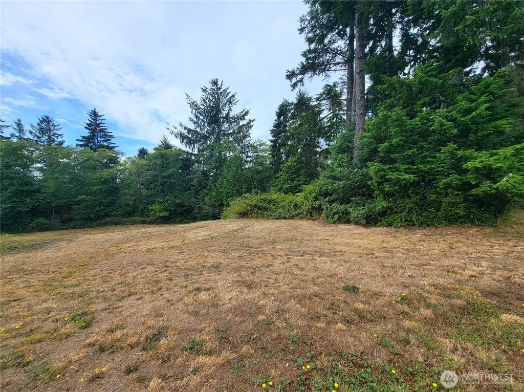 24313 Gile Place Ocean Park WA 98640