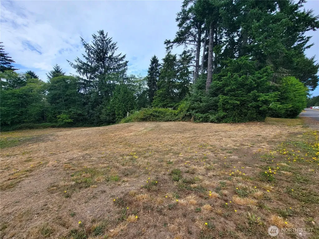 24313 Gile Place Ocean Park WA 98640