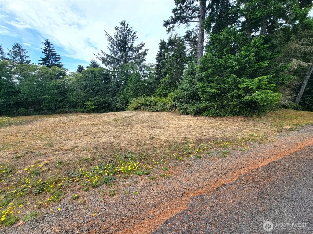 24313 Gile Place Ocean Park WA 98640