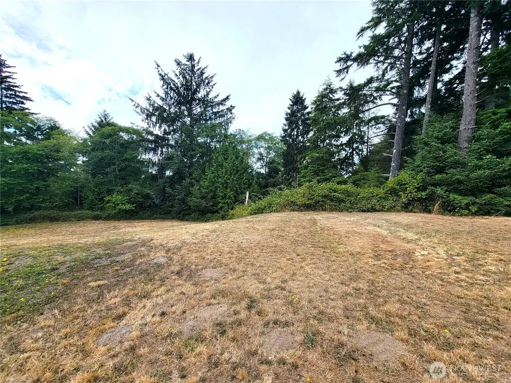 24313 Gile Place Ocean Park WA 98640