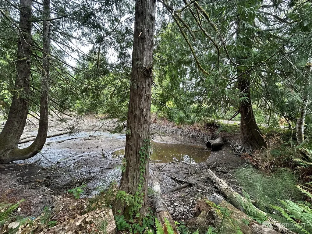 19401 Whiteman Cove Road SW Longbranch WA 98351