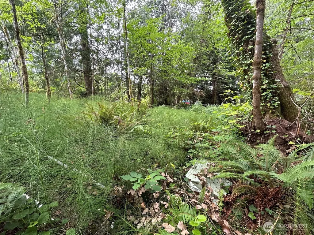 19401 Whiteman Cove Road SW Longbranch WA 98351