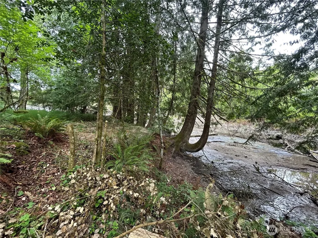 19401 Whiteman Cove Road SW Longbranch WA 98351