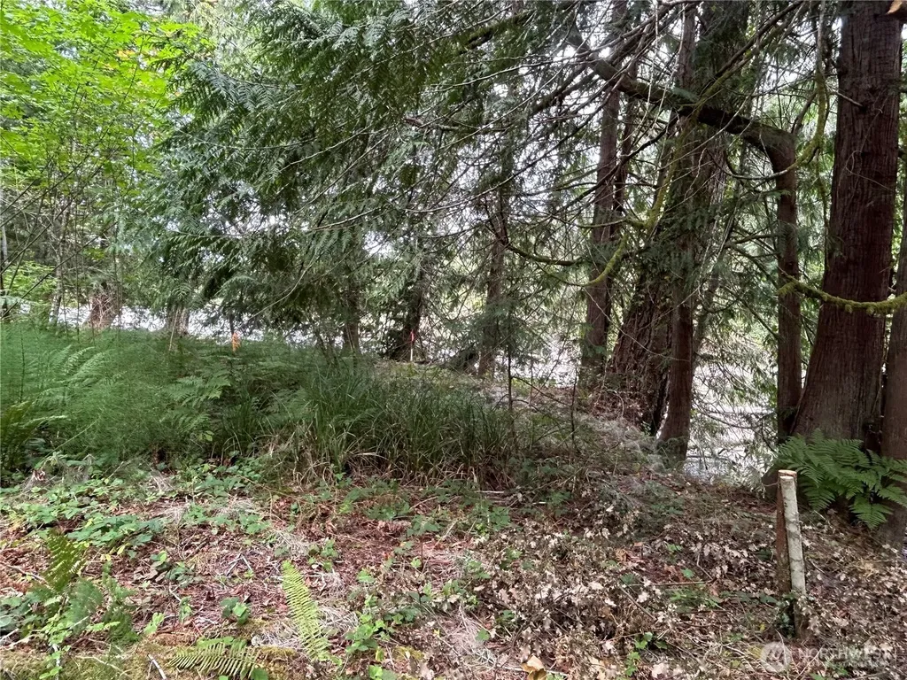 19401 Whiteman Cove Road SW Longbranch WA 98351