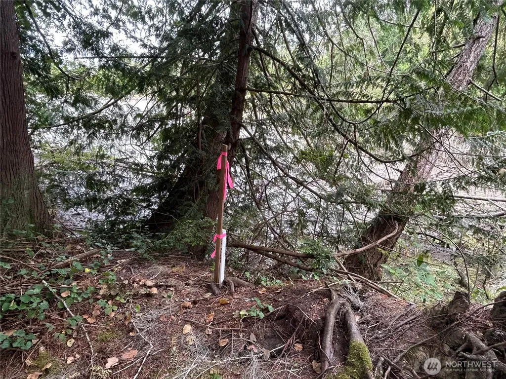 19401 Whiteman Cove Road SW Longbranch WA 98351