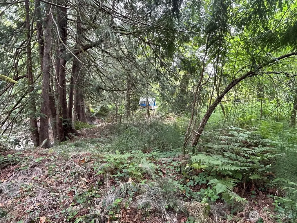 19401 Whiteman Cove Road SW Longbranch WA 98351