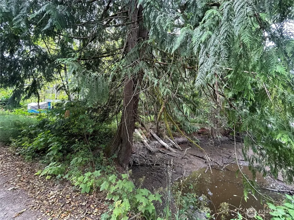 19401 Whiteman Cove Road SW Longbranch WA 98351