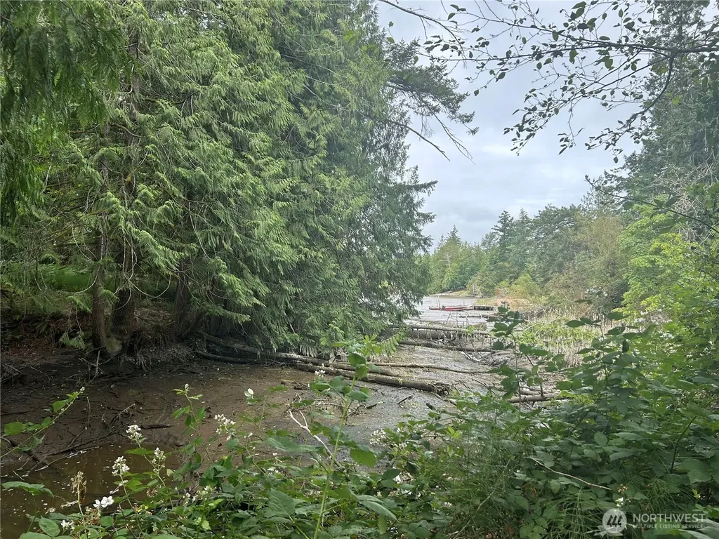19401 Whiteman Cove Road SW Longbranch WA 98351