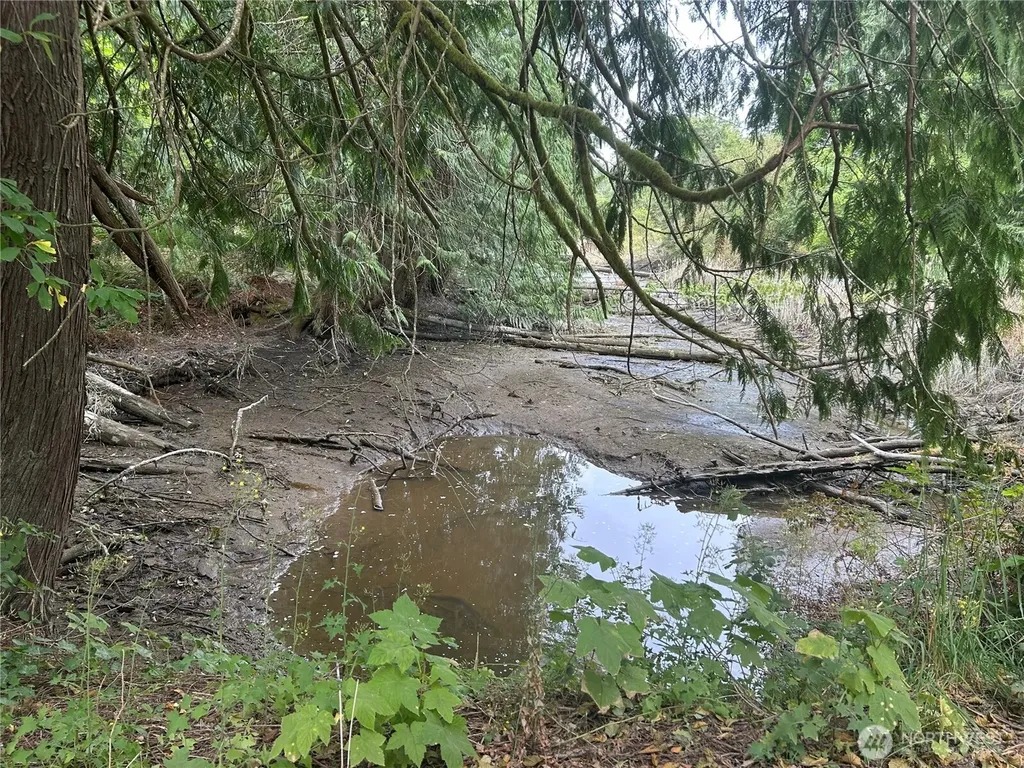 19401 Whiteman Cove Road SW Longbranch WA 98351