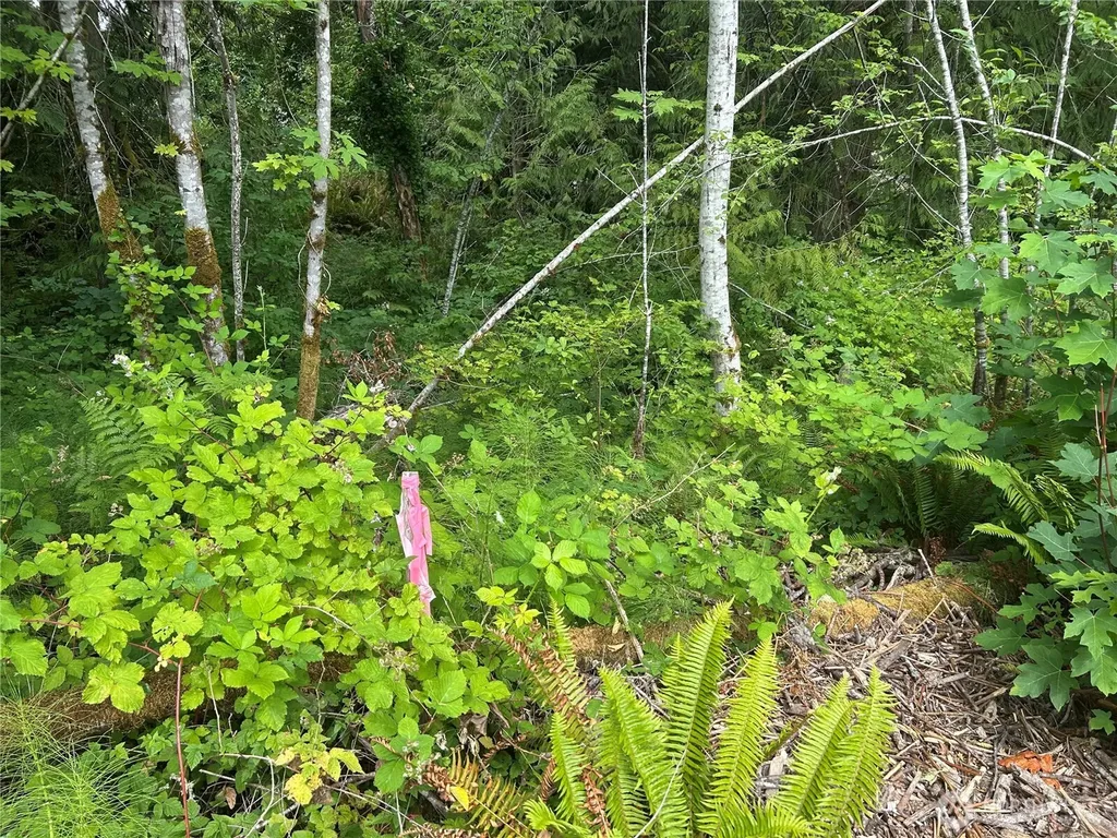19401 Whiteman Cove Road SW Longbranch WA 98351