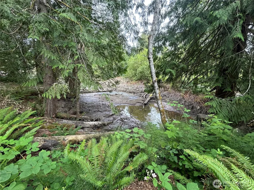 19401 Whiteman Cove Road SW Longbranch WA 98351
