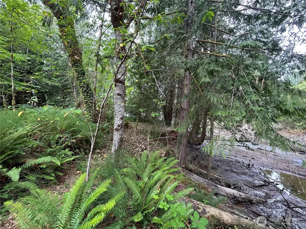 19401 Whiteman Cove Road SW Longbranch WA 98351