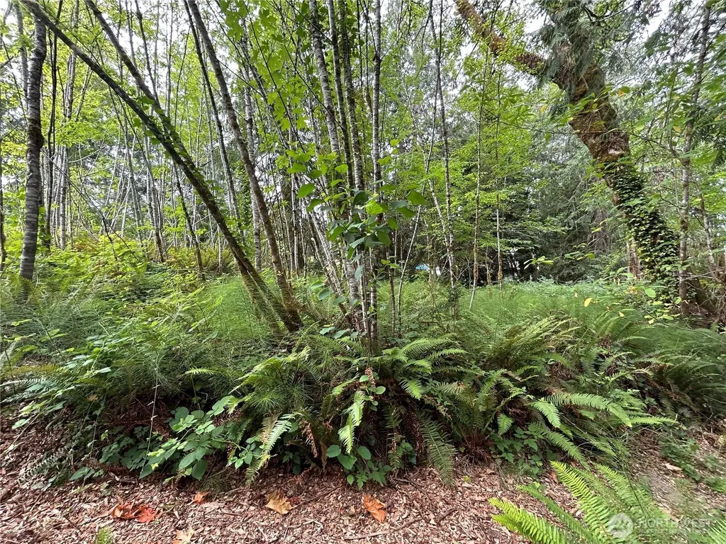 19401 Whiteman Cove Road SW Longbranch WA 98351