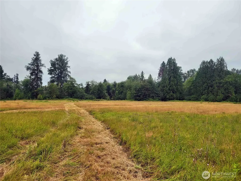 0 Evans Road Toledo WA 98591