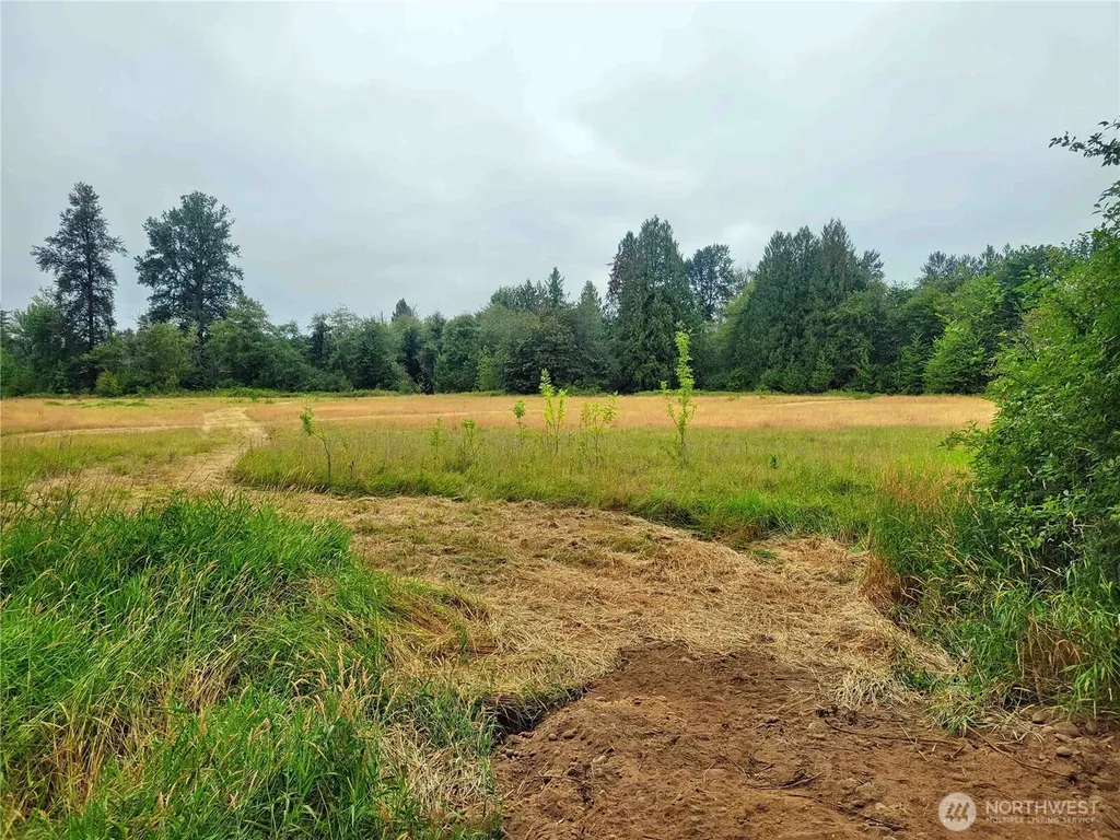 0 Evans Road Toledo WA 98591