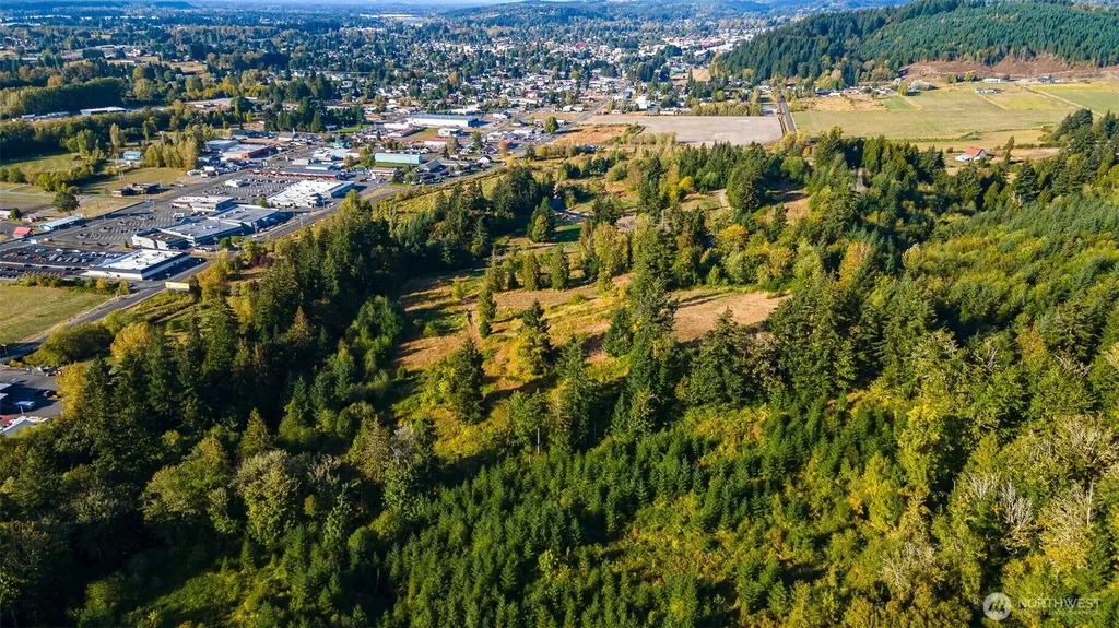 1980 Salzer Creek Drive Centralia WA 98531