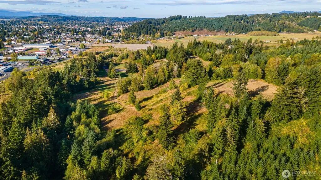 1980 Salzer Creek Drive Centralia WA 98531