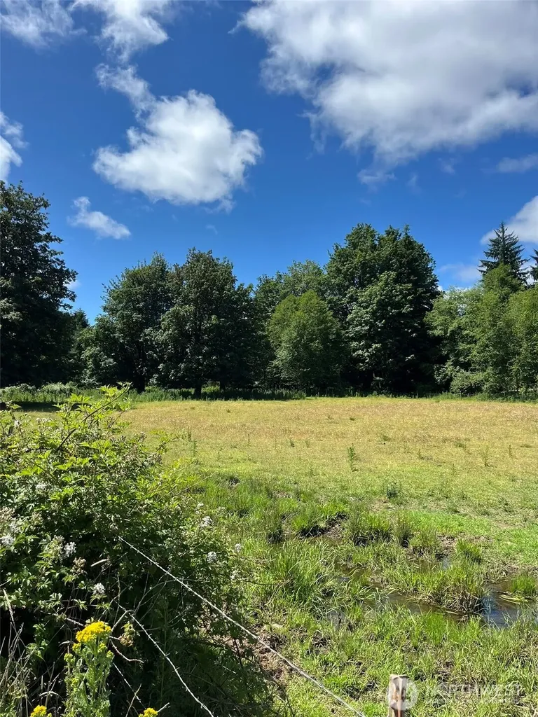 0 Cougar Smith Road Montesano WA 98563