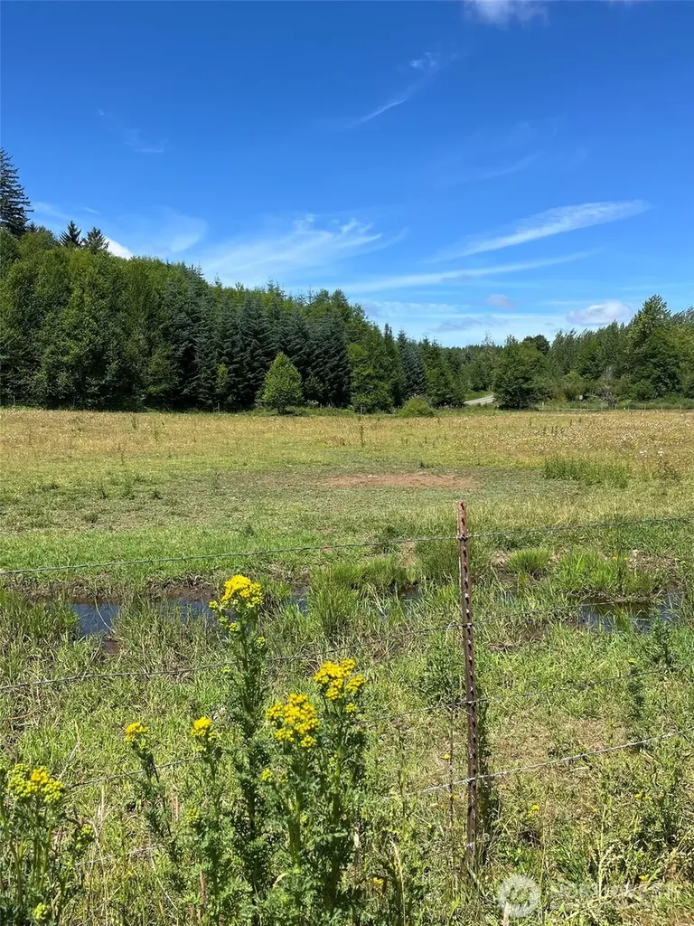 0 Cougar Smith Road Montesano WA 98563