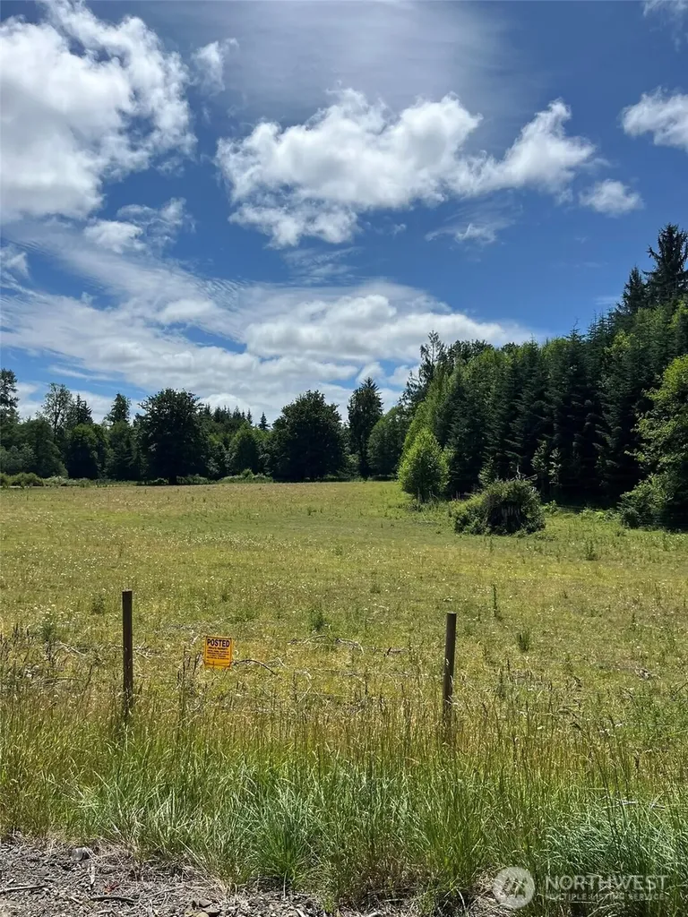 0 Cougar Smith Road Montesano WA 98563