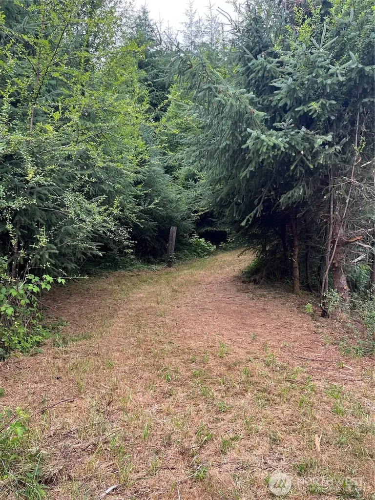 0 Cougar Smith Road Montesano WA 98563