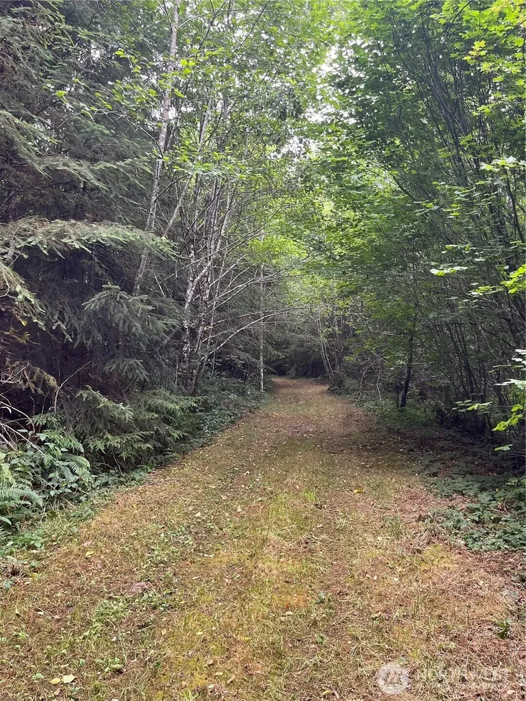 0 Cougar Smith Road Montesano WA 98563