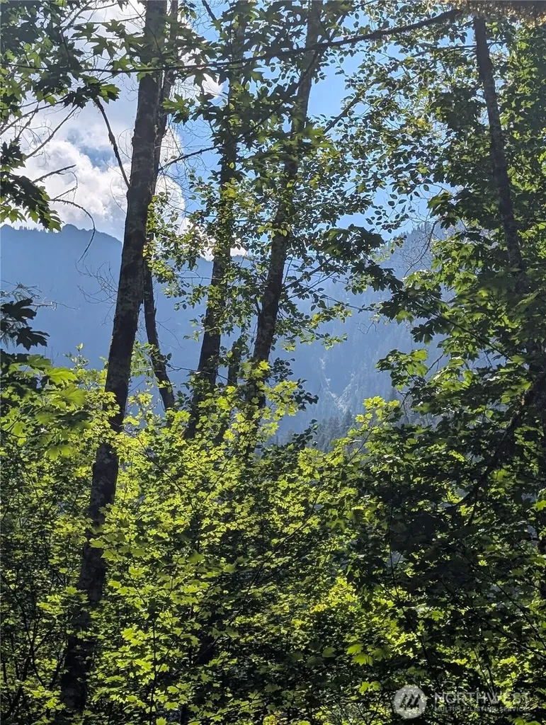 0 Clear Creek Road Darrington WA 98241
