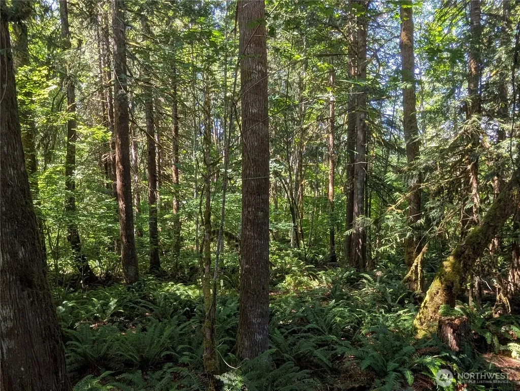 0 Clear Creek Road Darrington WA 98241