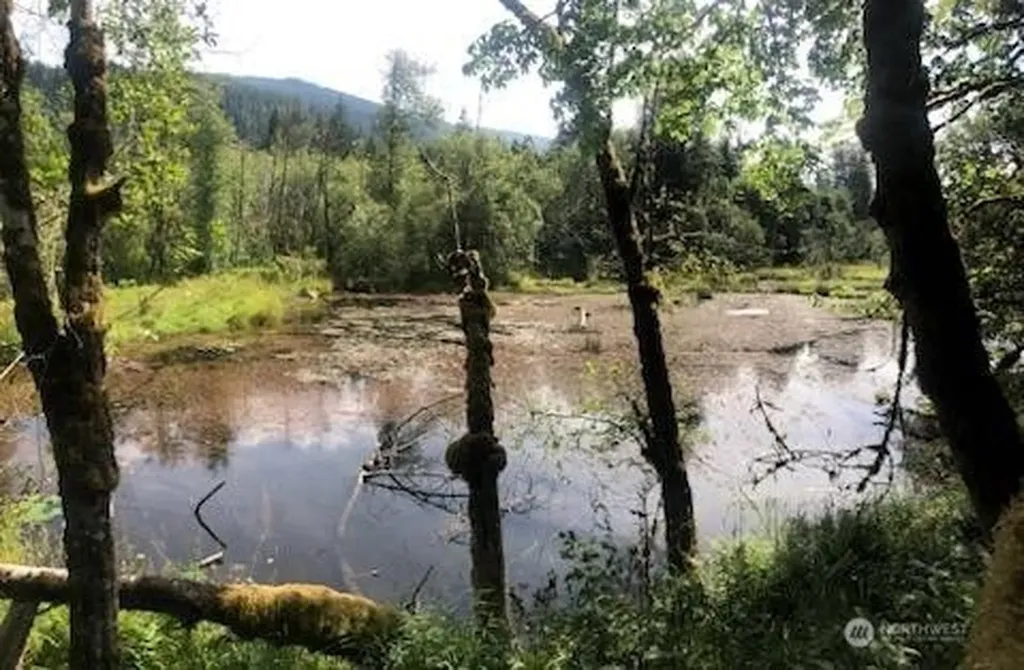 0 Clear Creek Road Darrington WA 98241