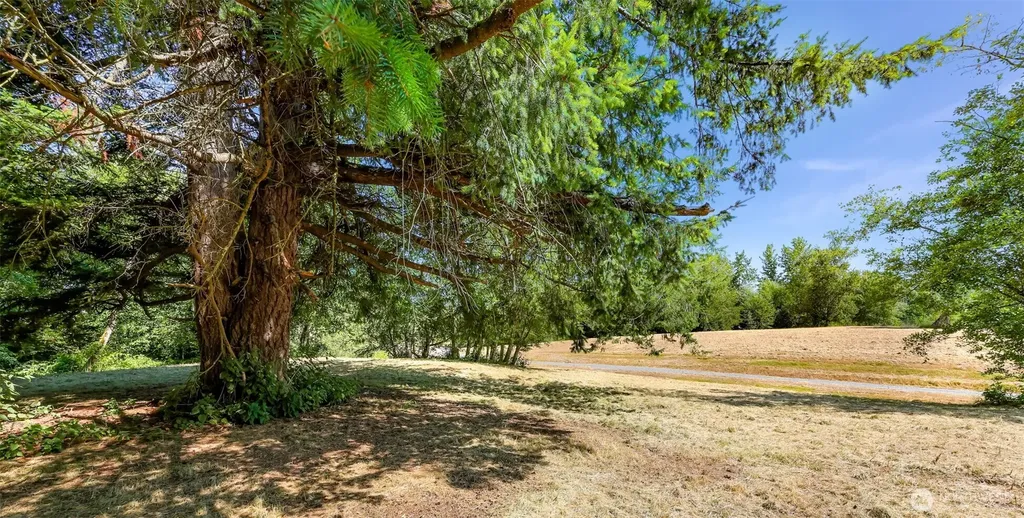 353 E Silverado Court Bellingham WA 98226