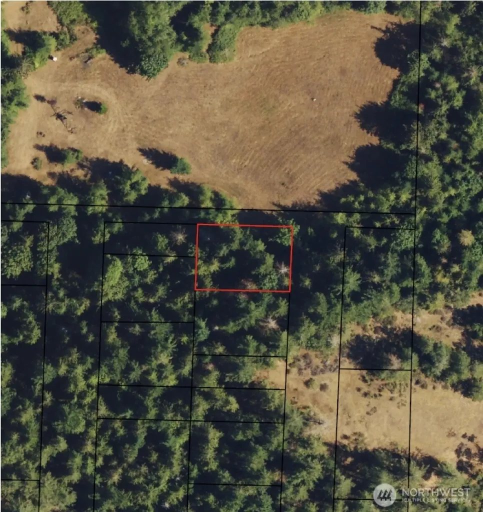 0 Apn:932100906 Brinnon WA 98320