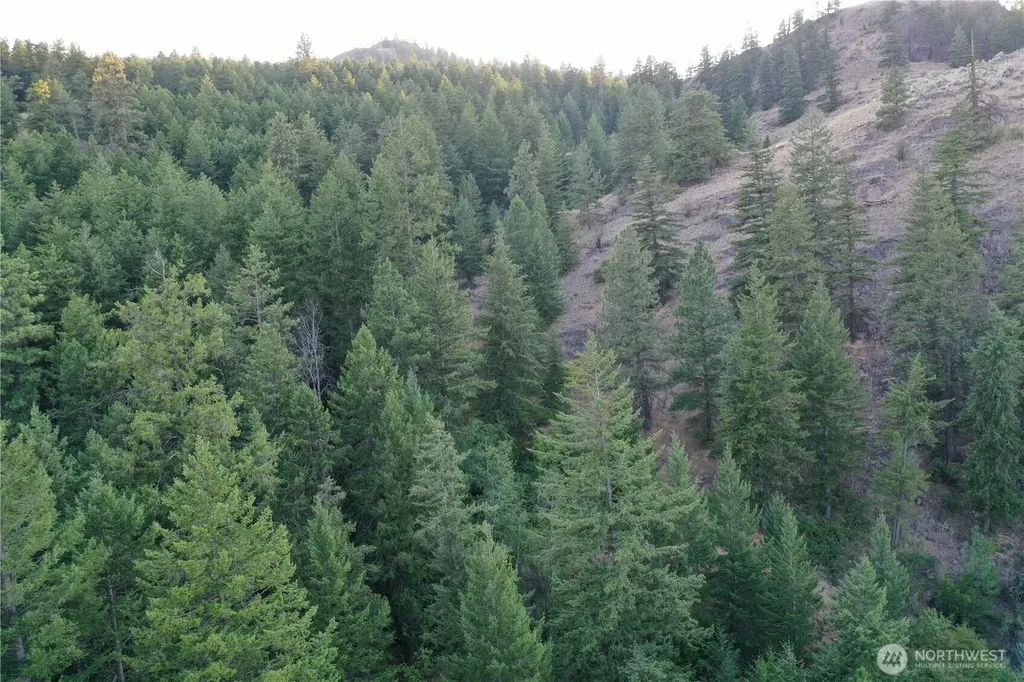 111 Eaglebluff Oroville WA 98844