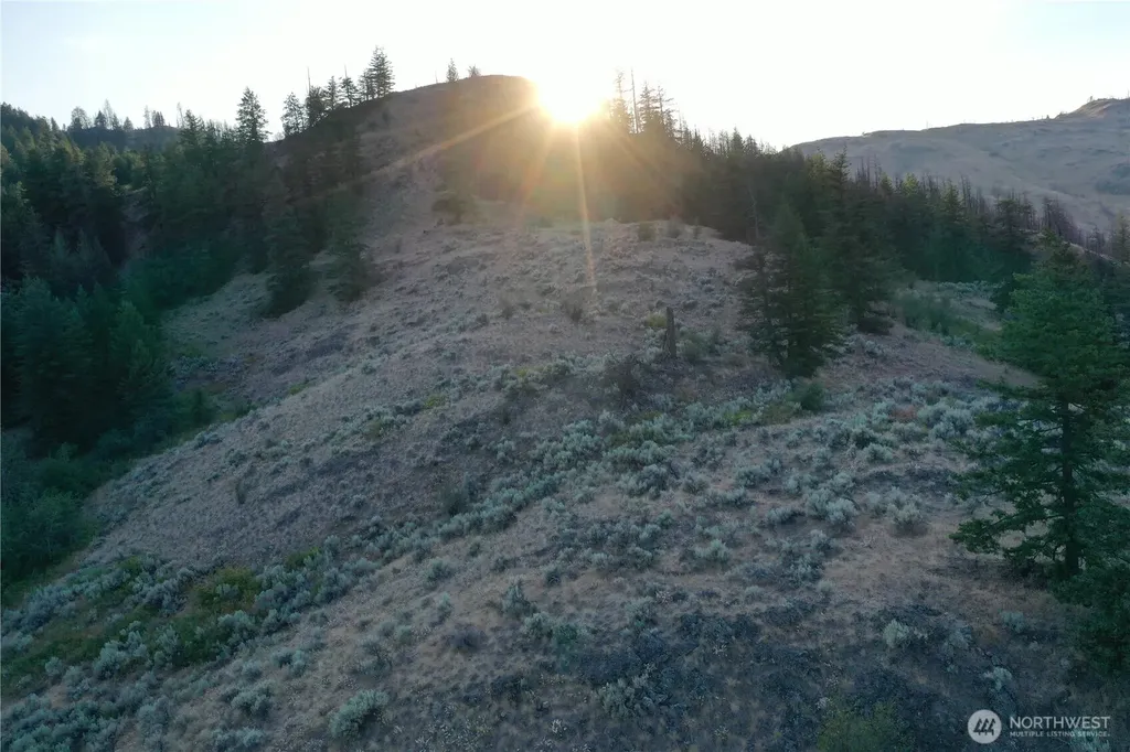 111 Eaglebluff Oroville WA 98844