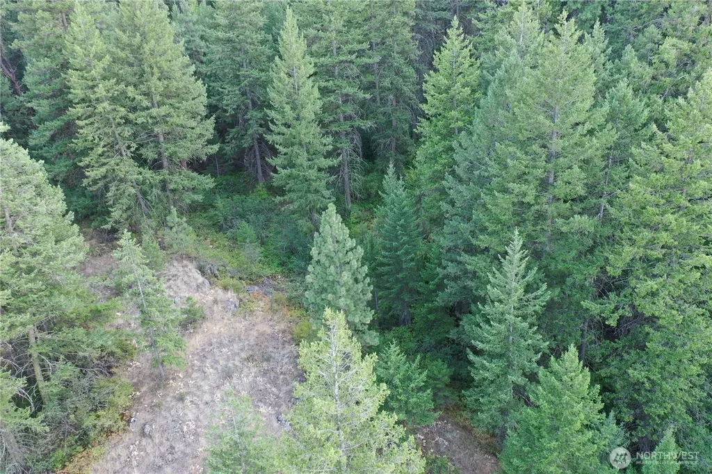 111 Eaglebluff Oroville WA 98844