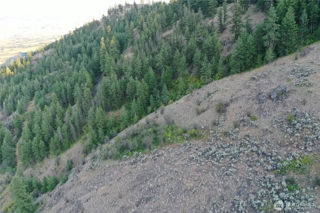 111 Eaglebluff Oroville WA 98844