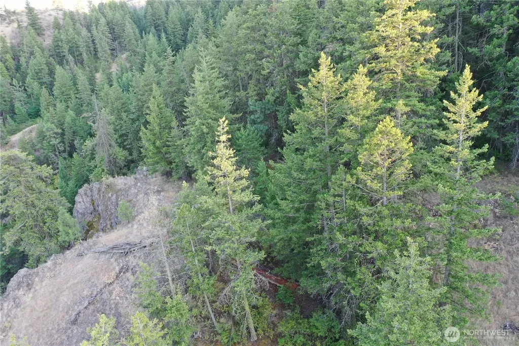 111 Eaglebluff Oroville WA 98844