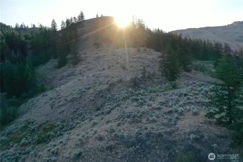 111 Eaglebluff Oroville WA 98844