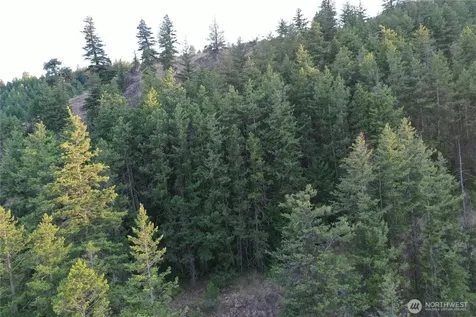 111 Eaglebluff Oroville WA 98844