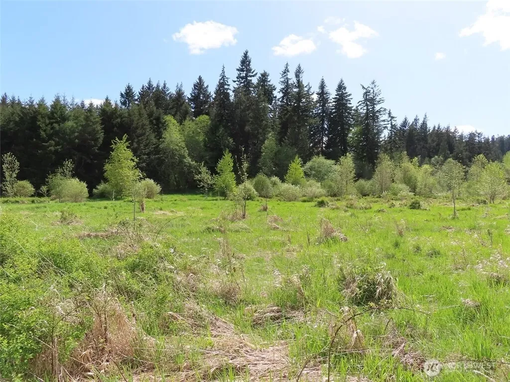 3898 State Route 6 Chehalis WA 98532