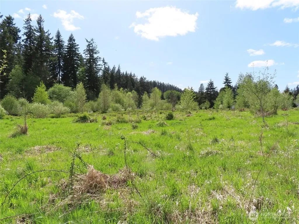 3898 State Route 6 Chehalis WA 98532