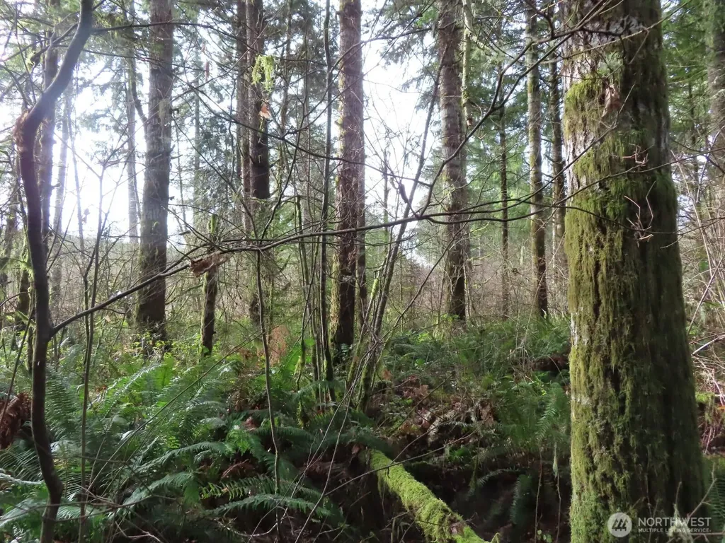 3898 State Route 6 Chehalis WA 98532